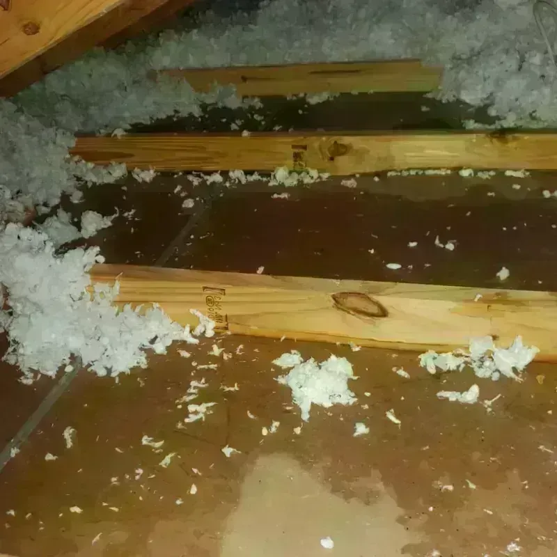 Attic Water Damage in Wrightwood, CA