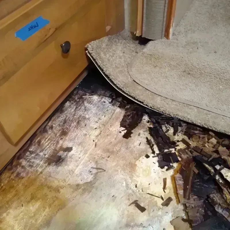 Best Wood Floor Water Damage Service in Wrightwood, CA